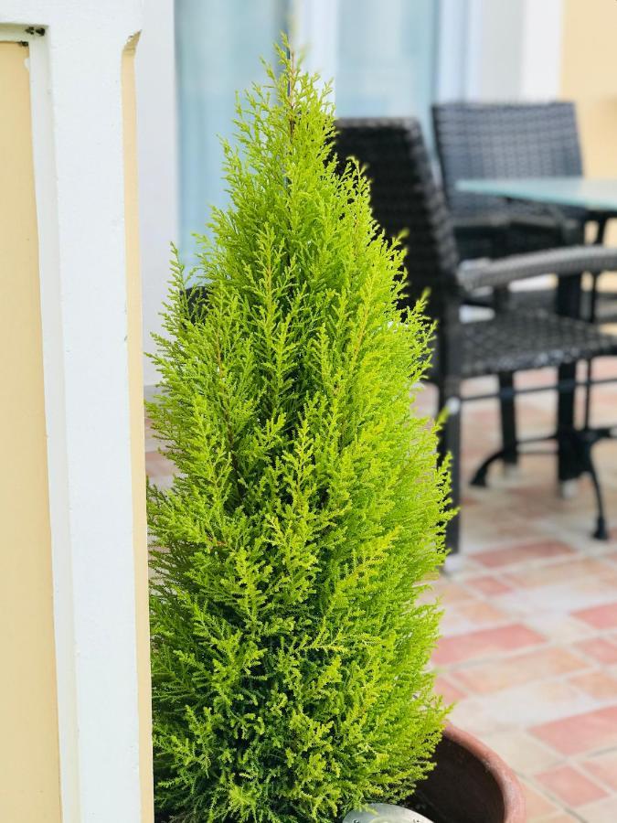 L'Eremo Luxury Apartments Ρόδα Εξωτερικό φωτογραφία